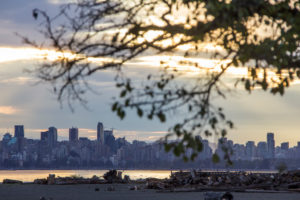 Vancouver skyline with beach and tree, evening mood, Canada Vancouver skyline with beach and tree, evening mood, Canada